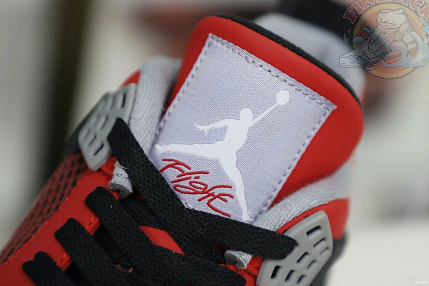 Air Jordan4 Jordan Bravo RetroToro 0117